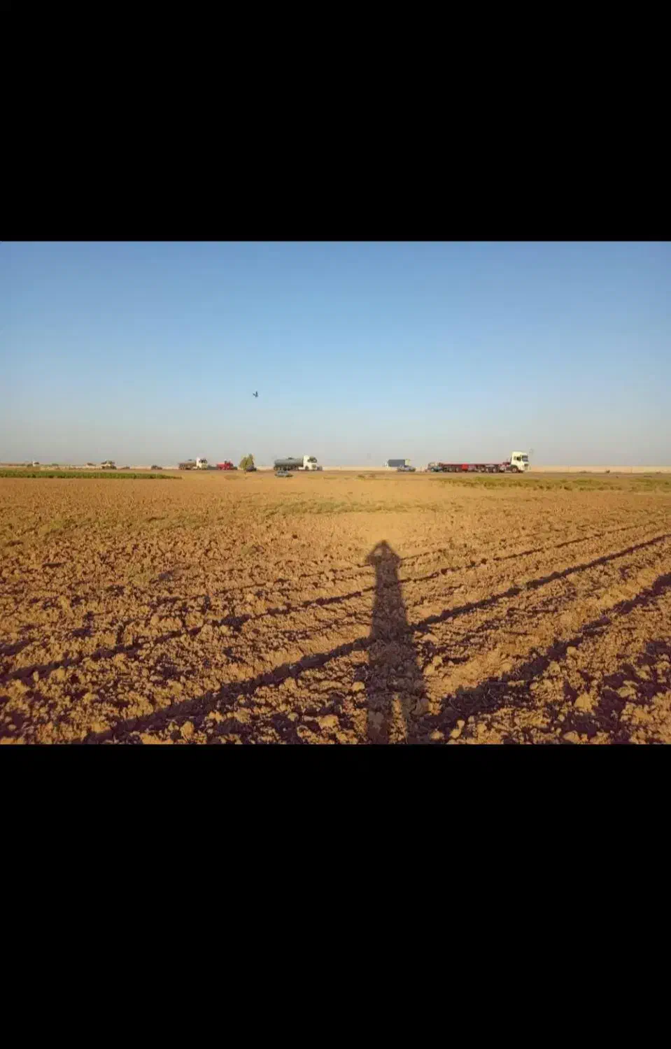 زمین گلخانه ای سند تک برگ|فروش دفتر صنعتی، کشاورزی، تجاری|تهران, چیتگر جنوبی|دیوار