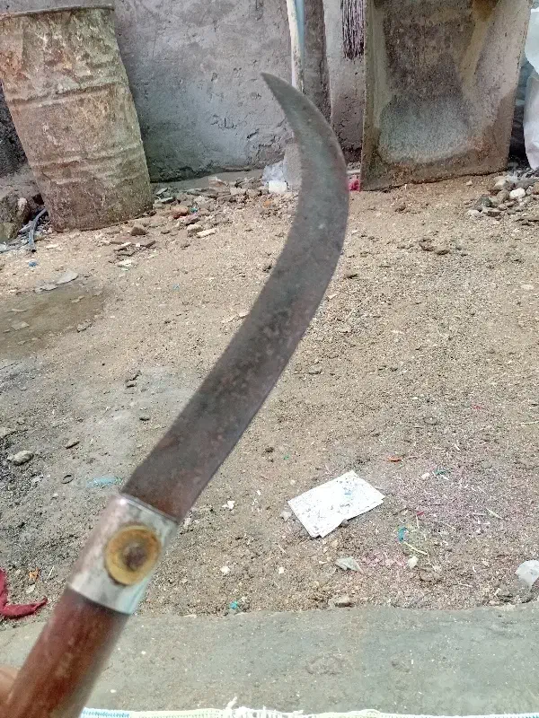 درگهان خدمات|خدمات باغبانی و درختکاری|قشم, |دیوار