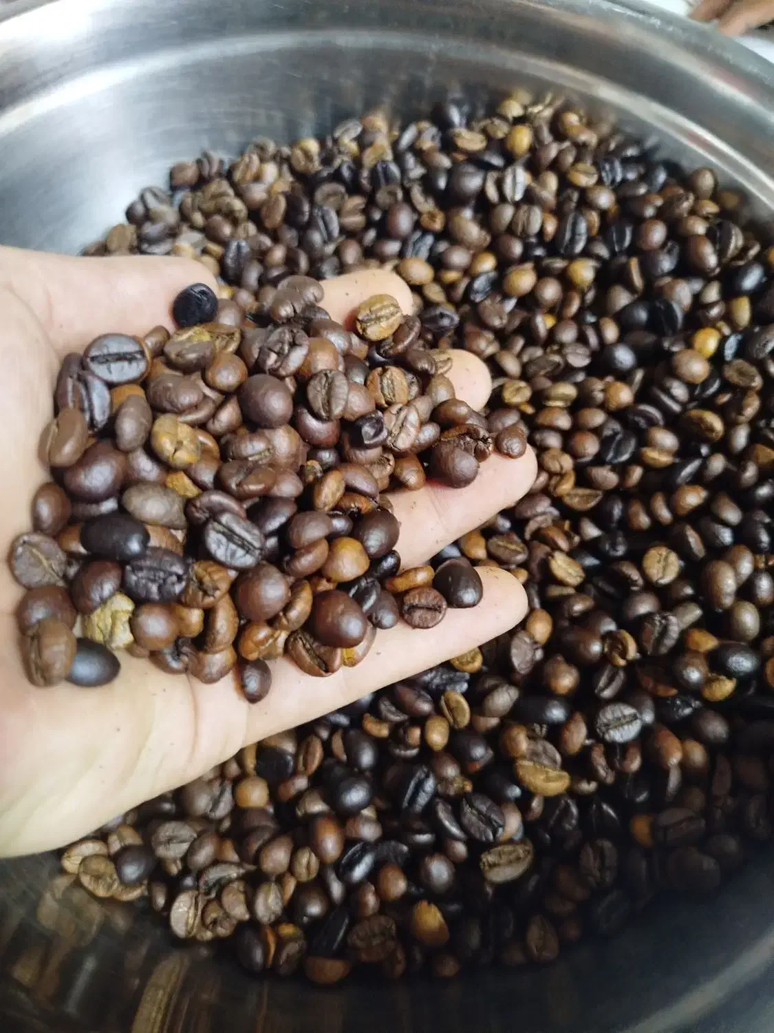 دان قهوه|عمدهفروشی|قرچک, مهدیه|دیوار