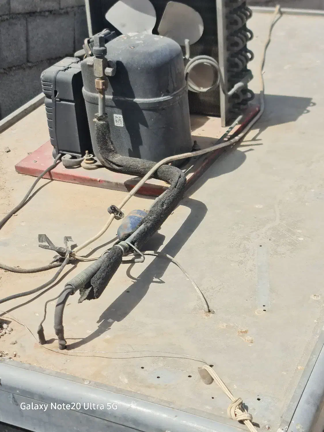 یخچال ویترینی|فروشگاه و مغازه|رضویه, |دیوار