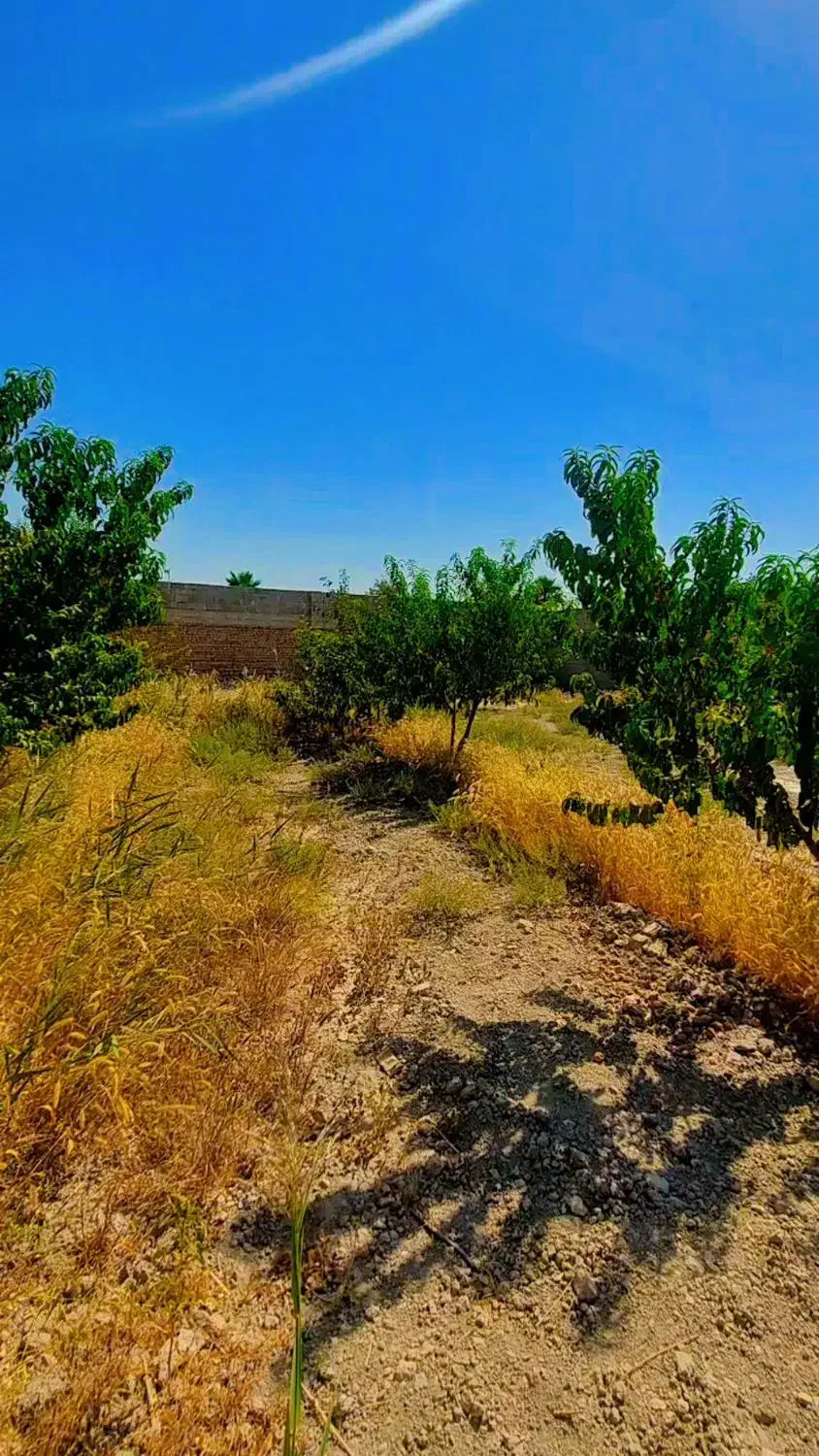 چهاردیواری400متر سندتک برگ/شهریار/دهشاد/میدان نماز|فروش خانه و ویلا|شهریار, دهشاد بالا|دیوار