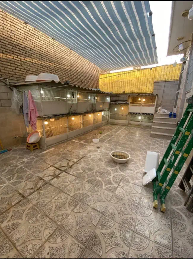 قفس|لوازم جانبی حیوانات|کرمانشاه, |دیوار