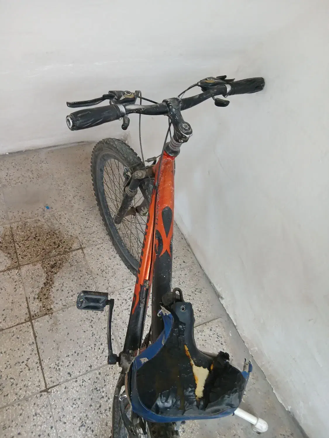 دوچرخه|دوچرخه، اسکیت، اسکوتر|مشکین‌دشت, |دیوار