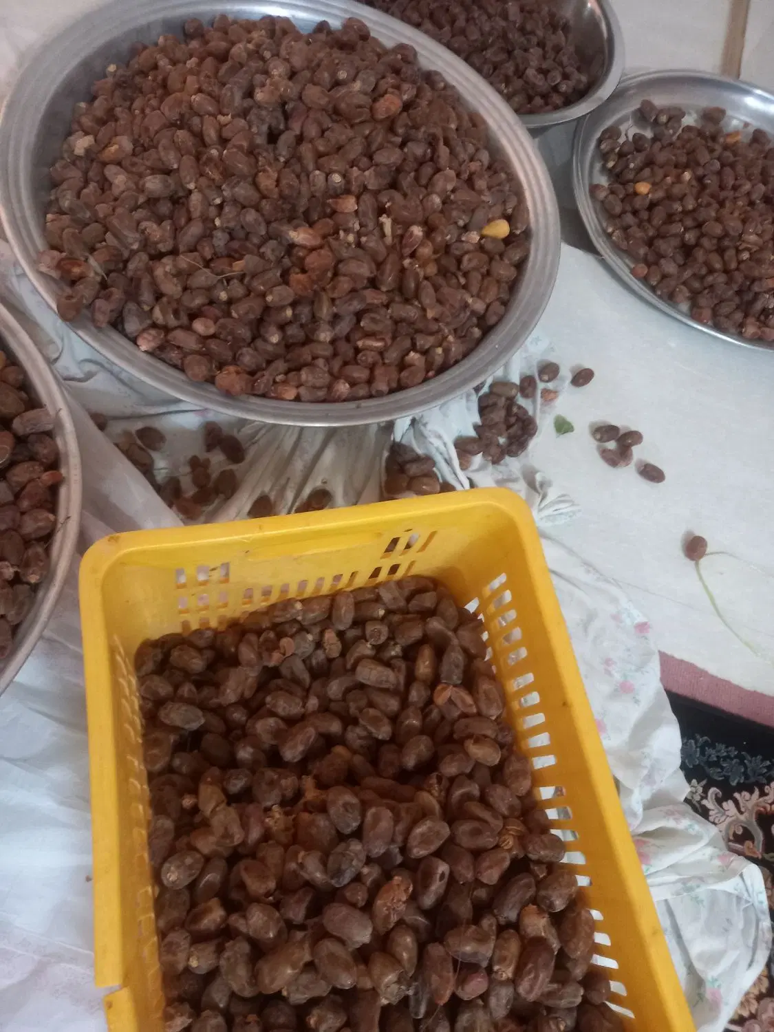 خرما|خوردنی و آشامیدنی|برازجان, |دیوار