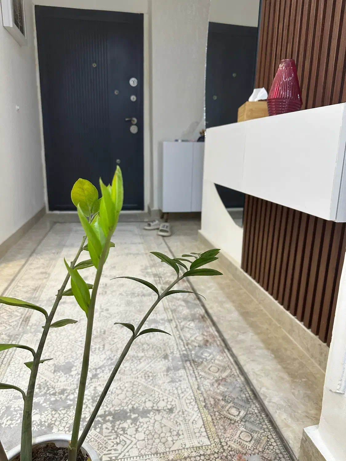 استخدام نظافت چی در منزل|استخدام سرایداری و نظافت|خورموج, |دیوار