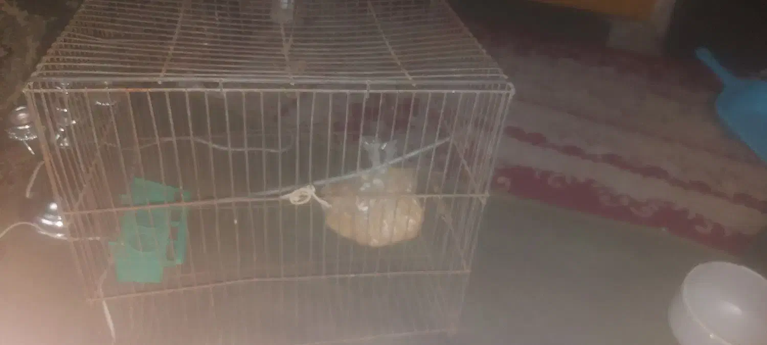 وسایل خانه|مبلمان خانگی و میز عسلی|اصفهان, شهرک امام خمینی|دیوار