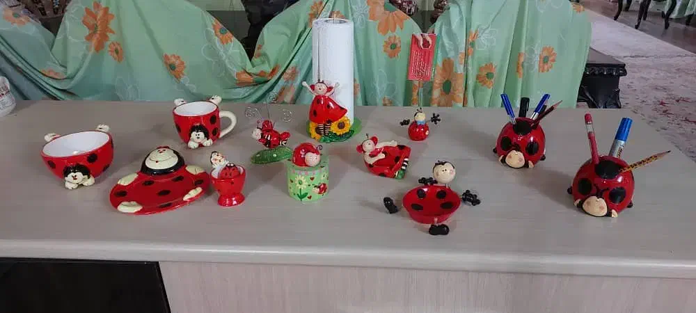 سرویس ۱۲ تکه کفشدوزک خرید از لایف استایل دبی|اسباب و اثاث بچه|کرج, گوهردشت|دیوار