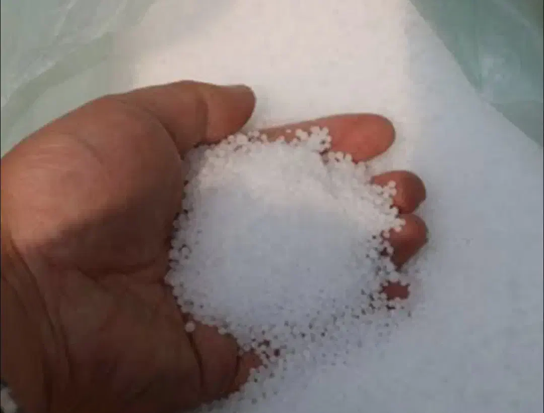 کودسفید|خدمات باغبانی و درختکاری|محمدیه-قزوین, |دیوار