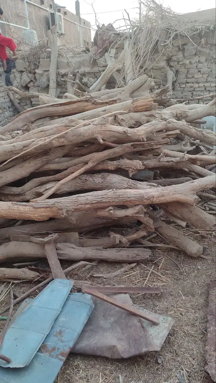 چوب خشک|مجسمه، تندیس، ماکت|زهک, |دیوار