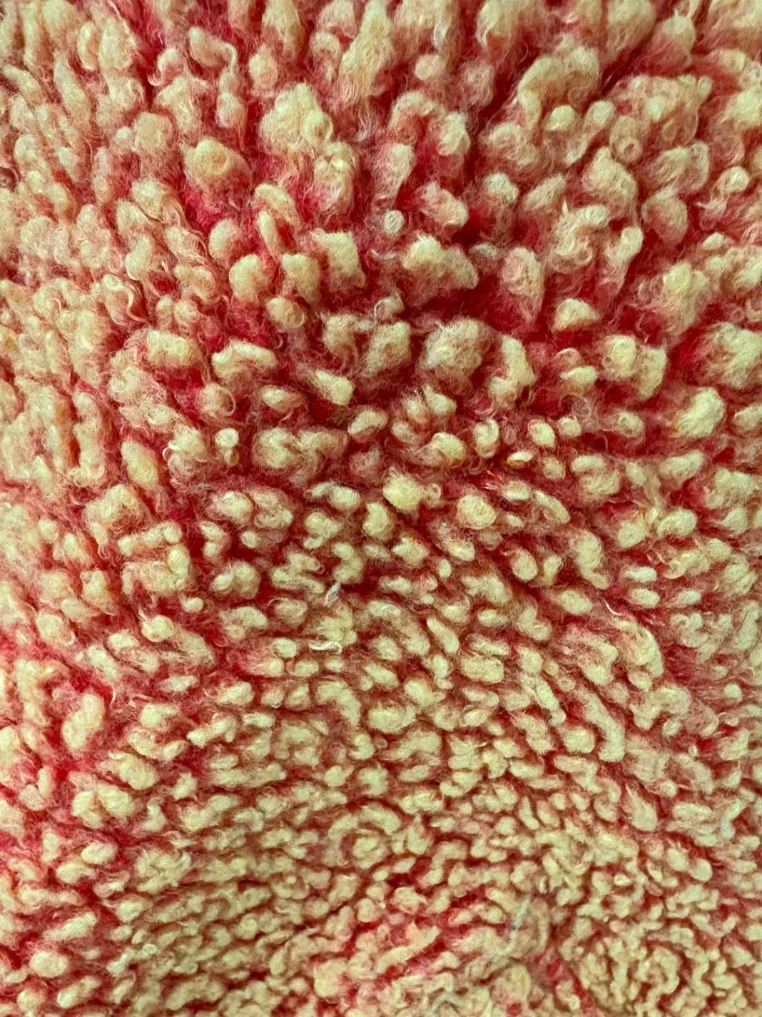 پالتو تدی فری سایز|لباس|تهران, سازمان آب|دیوار