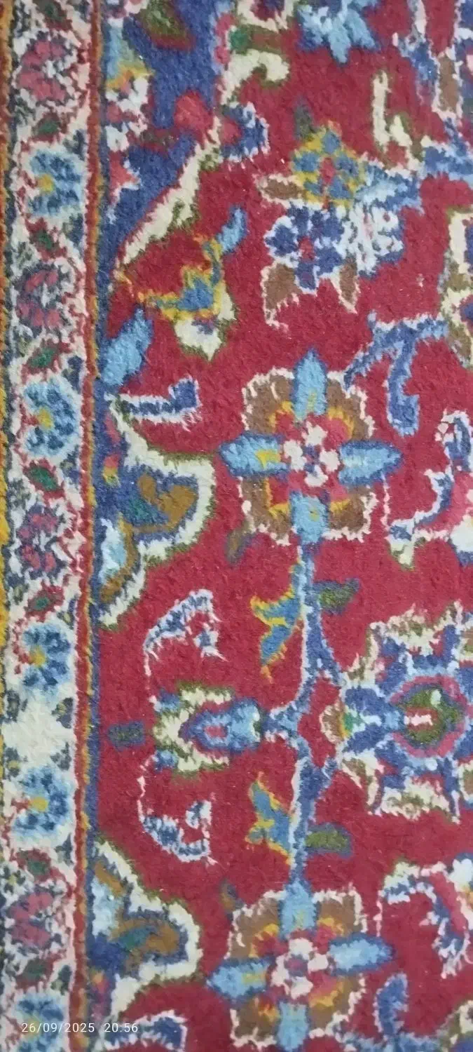 یک تخته ۱۲ متری|فرش|مشهد, رضاشهر|دیوار