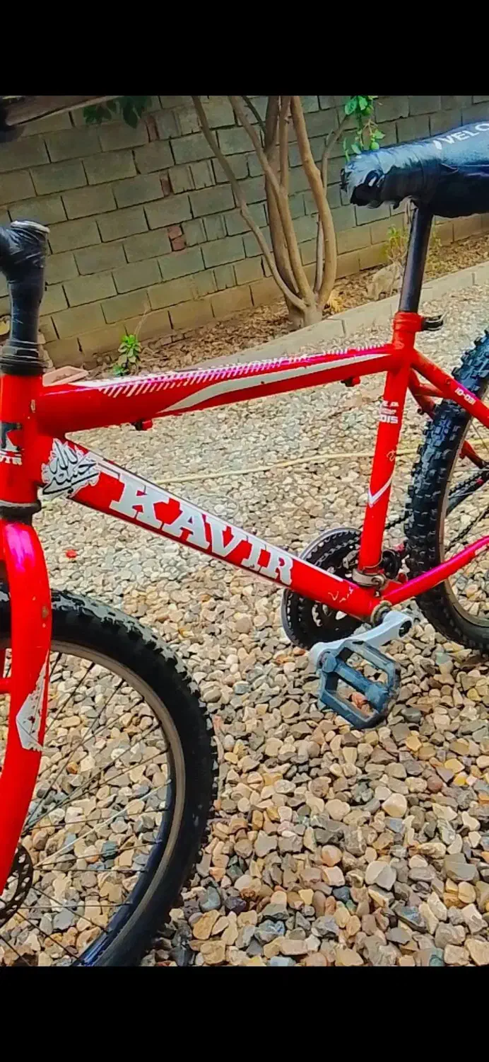 دوچرخه|دوچرخه، اسکیت، اسکوتر|گنبد کاووس, |دیوار