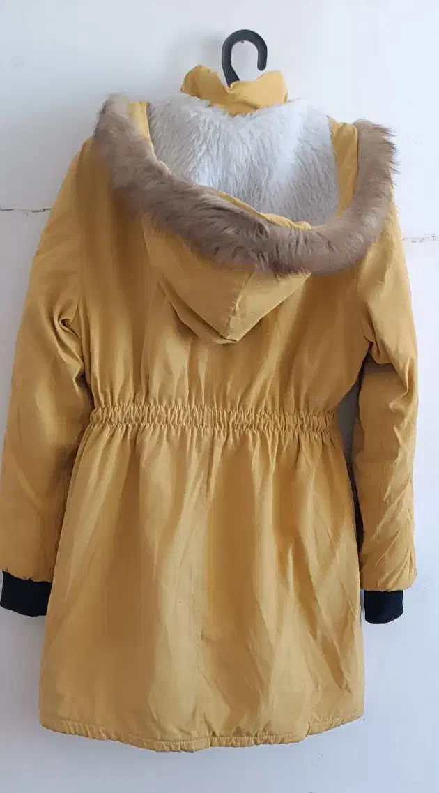 پالتو|لباس|بیرجند, |دیوار