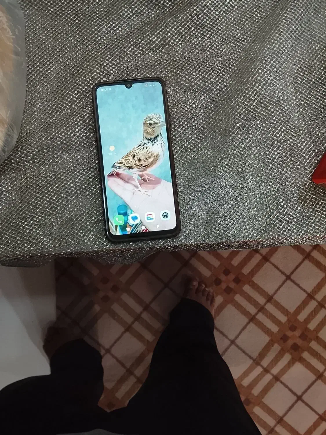 گوشی ردمی A5|موبایل|خورموج, |دیوار