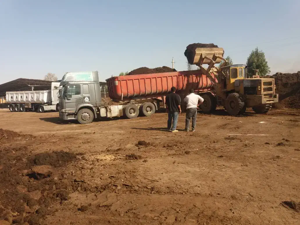 پخش کود حیوانی گاوی پوسیده به تعدادی ۲۰۰۰کامیون|خدمات باغبانی و درختکاری|محمدیه-قزوین, |دیوار