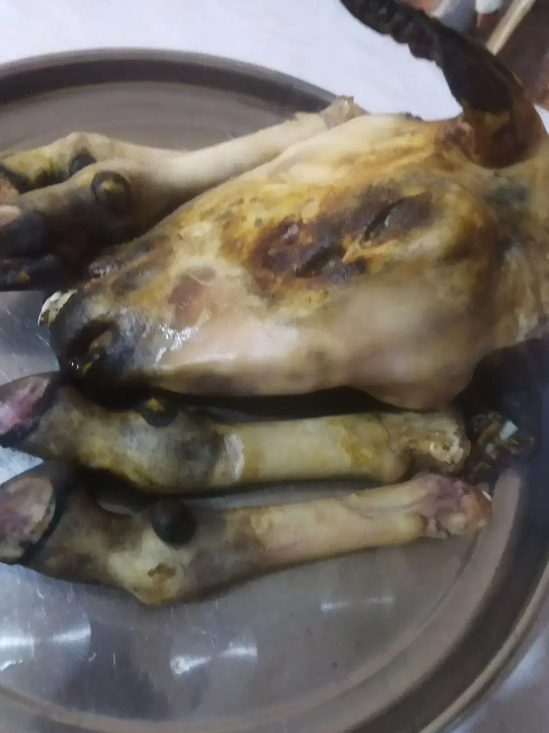 کله پاچه شیشک باسرابی|خوردنی و آشامیدنی|مسجد سلیمان, |دیوار