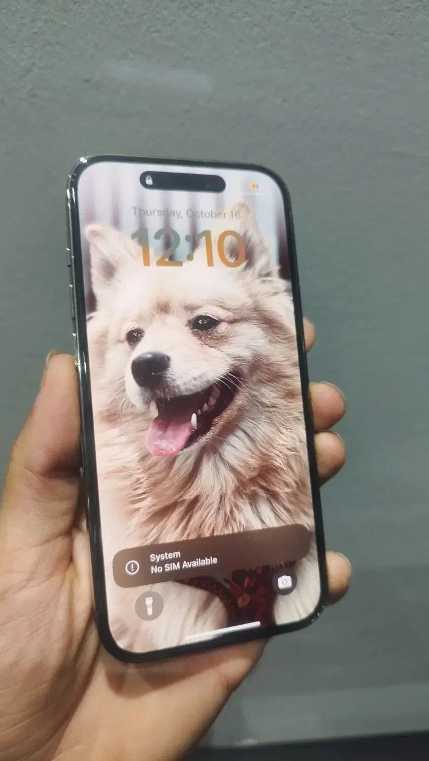 iphone 14 pro|موبایل|تهران, بلوار کشاورز|دیوار