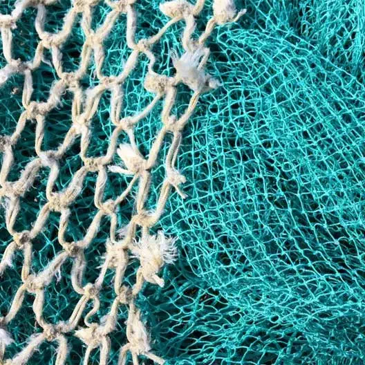 تورماهی|ماهیگیری|آبادان, |دیوار