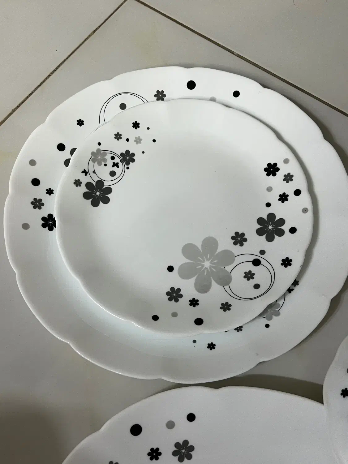 ارکوپال|ظروف سرو و پذیرایی|رشت, کوی طالقانی|دیوار