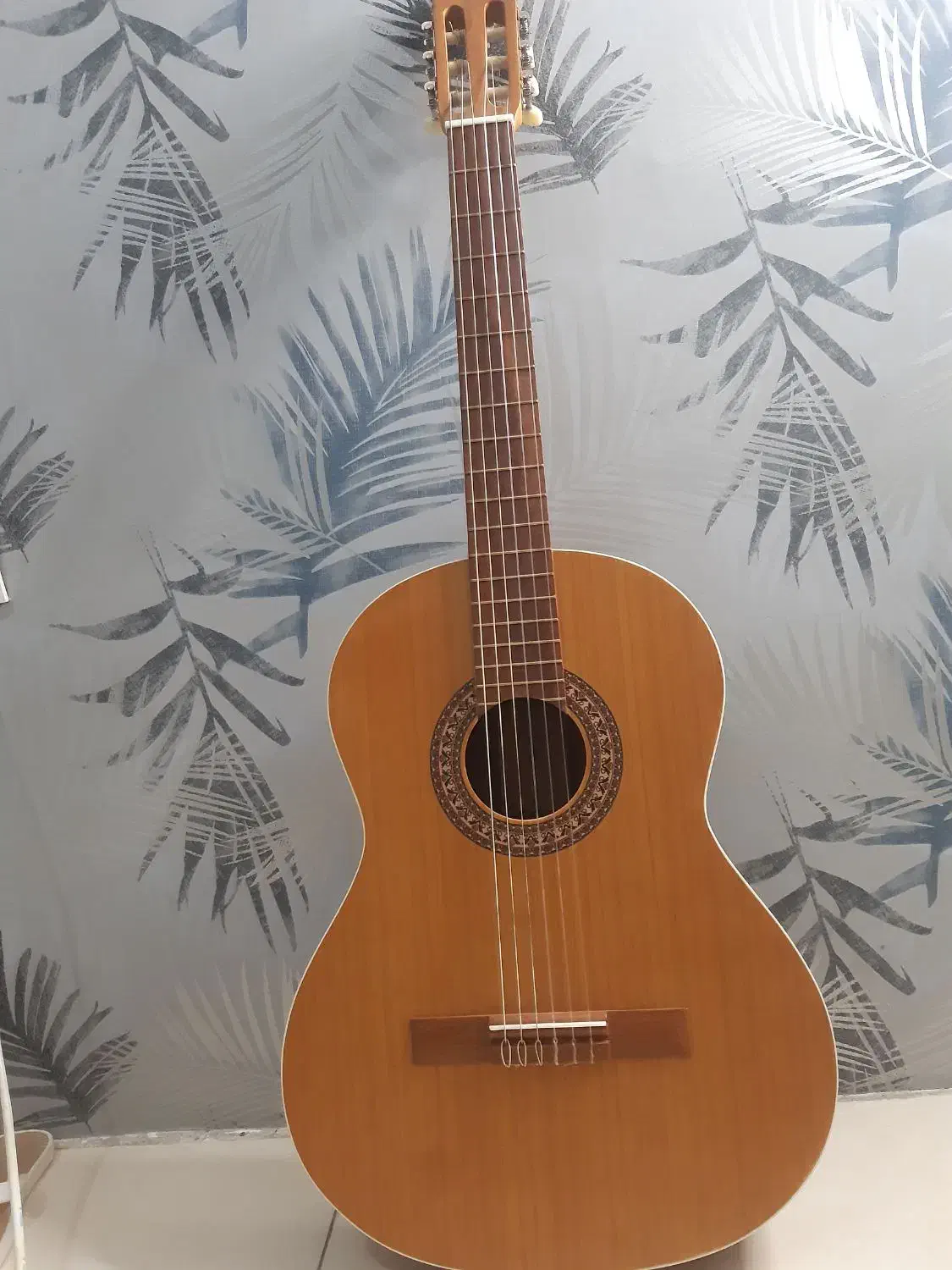 گیتار|گیتار، بیس، امپلیفایر|مشهد, امیریه|دیوار