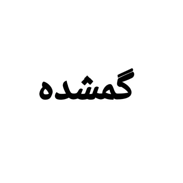 کارت گمشده به نام فاطمه بالو|اشیا|سمنان, |دیوار