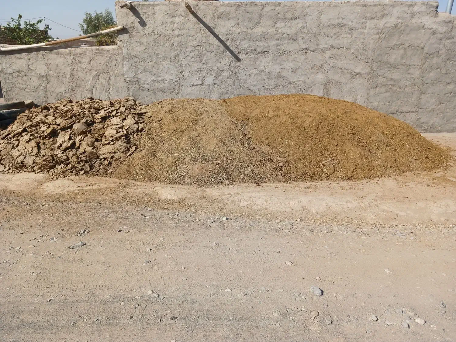 کودگوسفندی|گل و گیاه طبیعی|کاشان, فاز ۱ ناجی آباد|دیوار