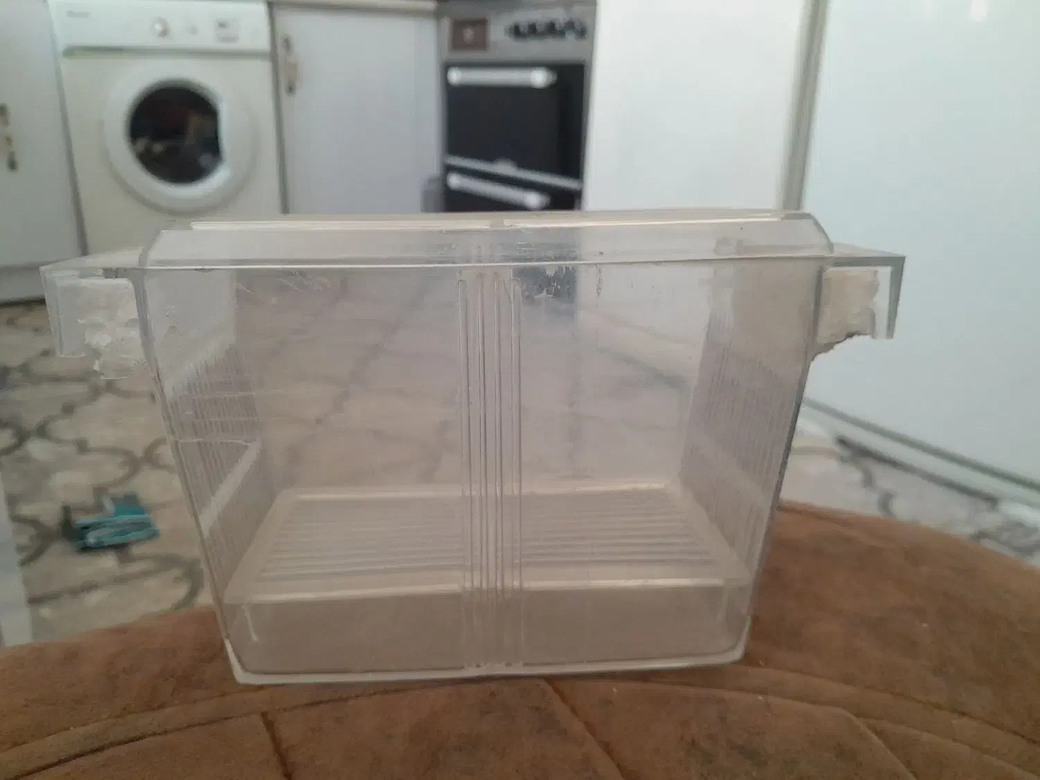 زایشگاه ماهی اکواریوم|ماهی|ملایر, |دیوار