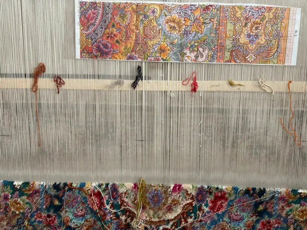 زرنیم سالاری تبریز|فرش|ارومیه, |دیوار