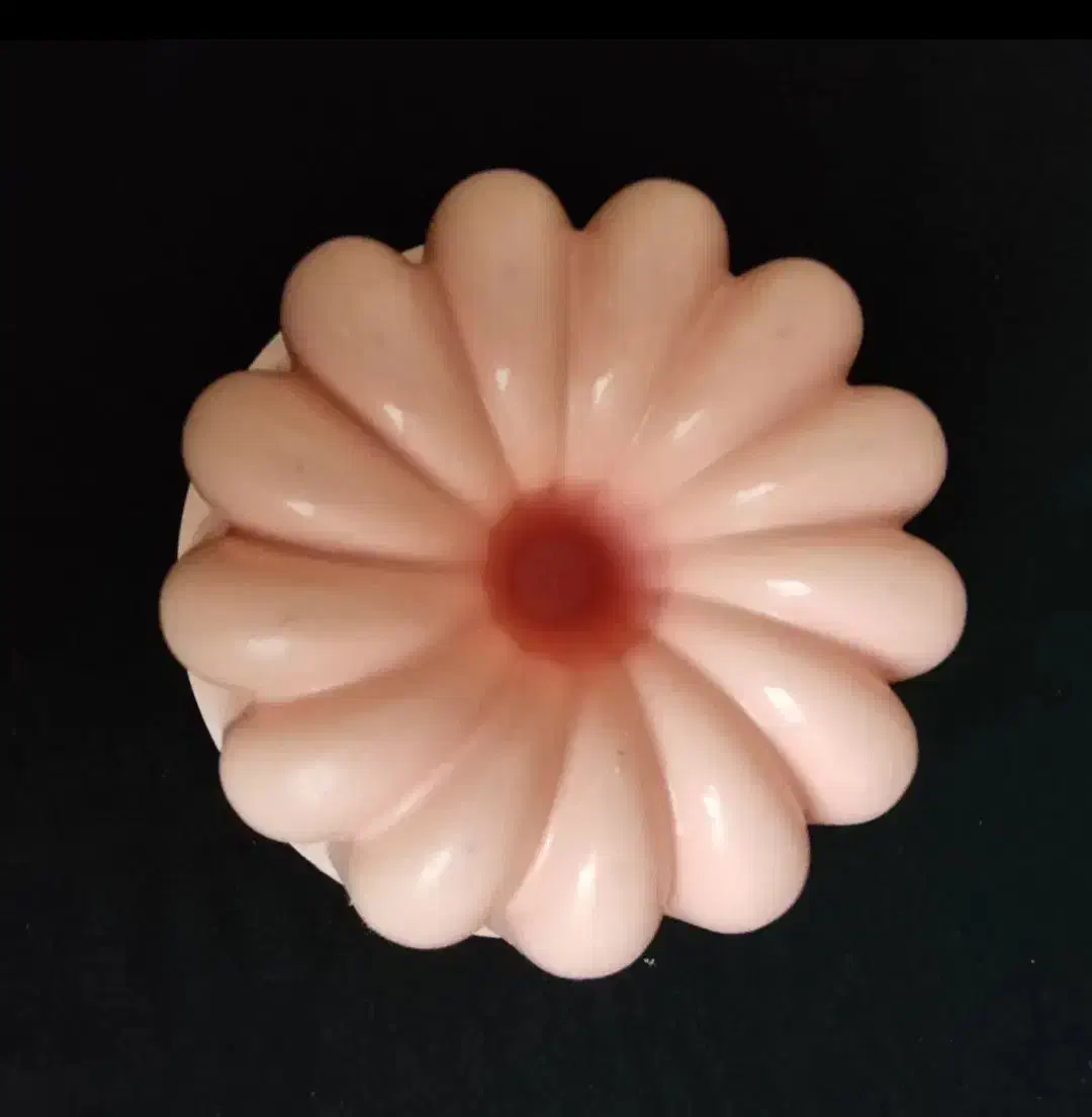 قالب ژله فقط ۱۰۰|ظروف نگهدارنده، پلاستیکی، یک‌بارمصرف|قم, نیروگاه|دیوار