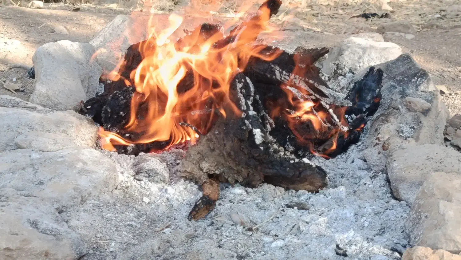 گمشده|اشیا|ایوان, |دیوار