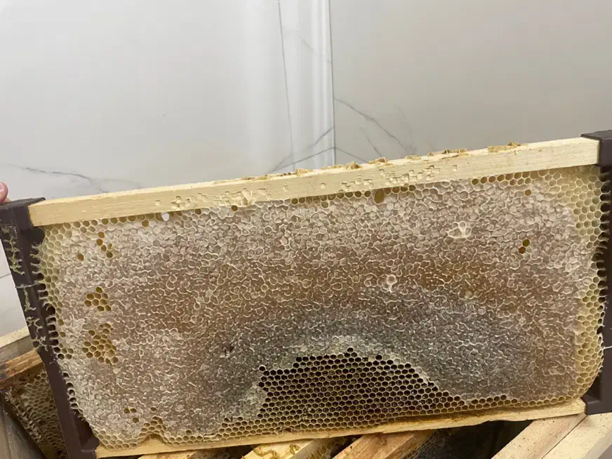 عسل با موم|خوردنی و آشامیدنی|اصفهان, کوی امیریه|دیوار