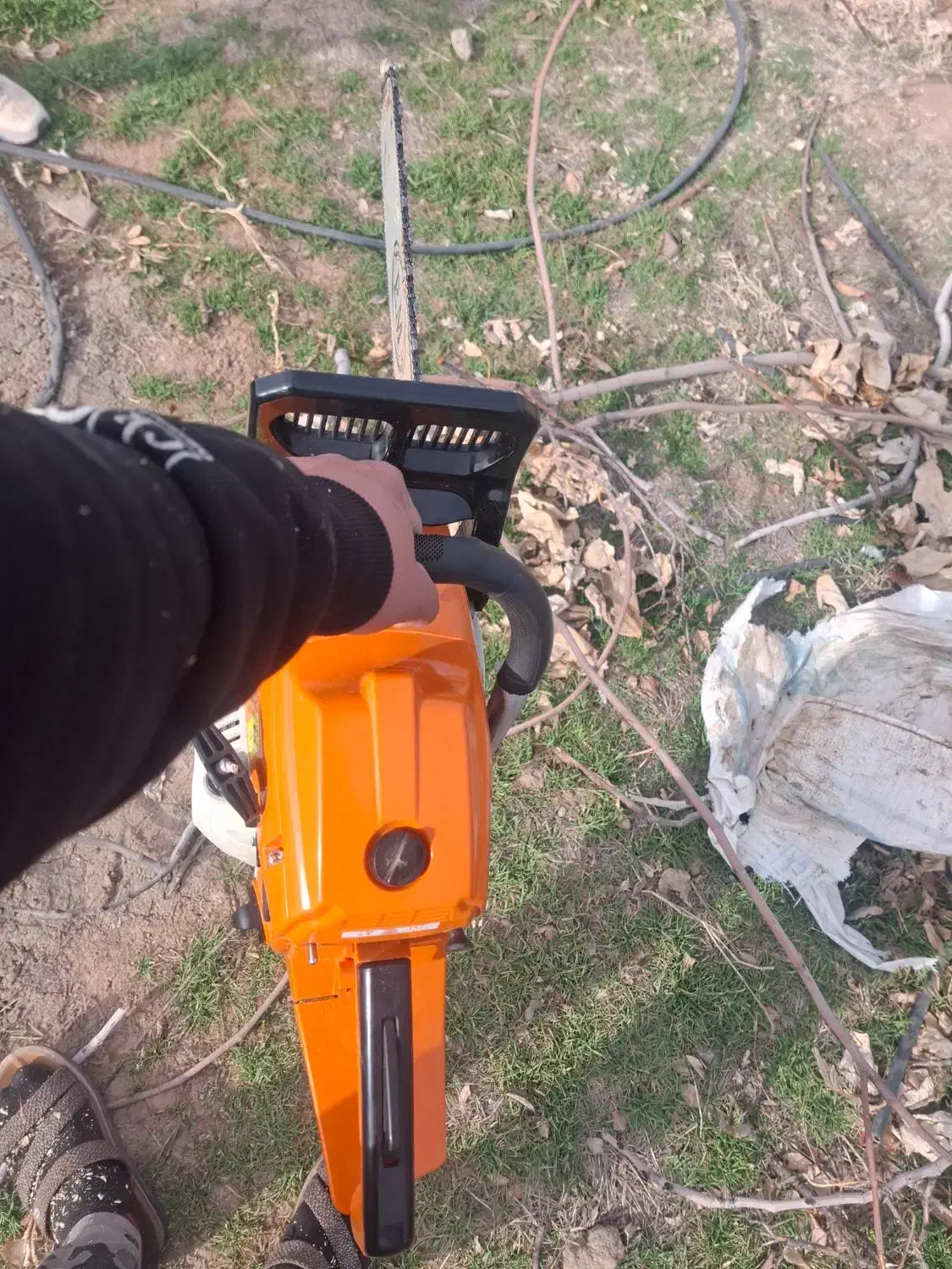 خرید درختان باغی و چوب خانه قدیمی|خدمات باغبانی و درختکاری|نیشابور, خط کاشمر|دیوار