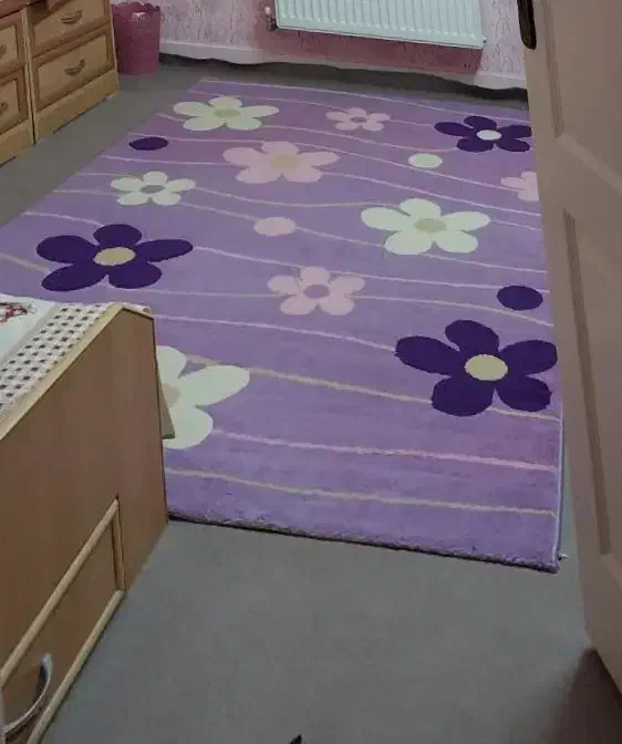 دو عدد فرش|فرش|زنجان, |دیوار