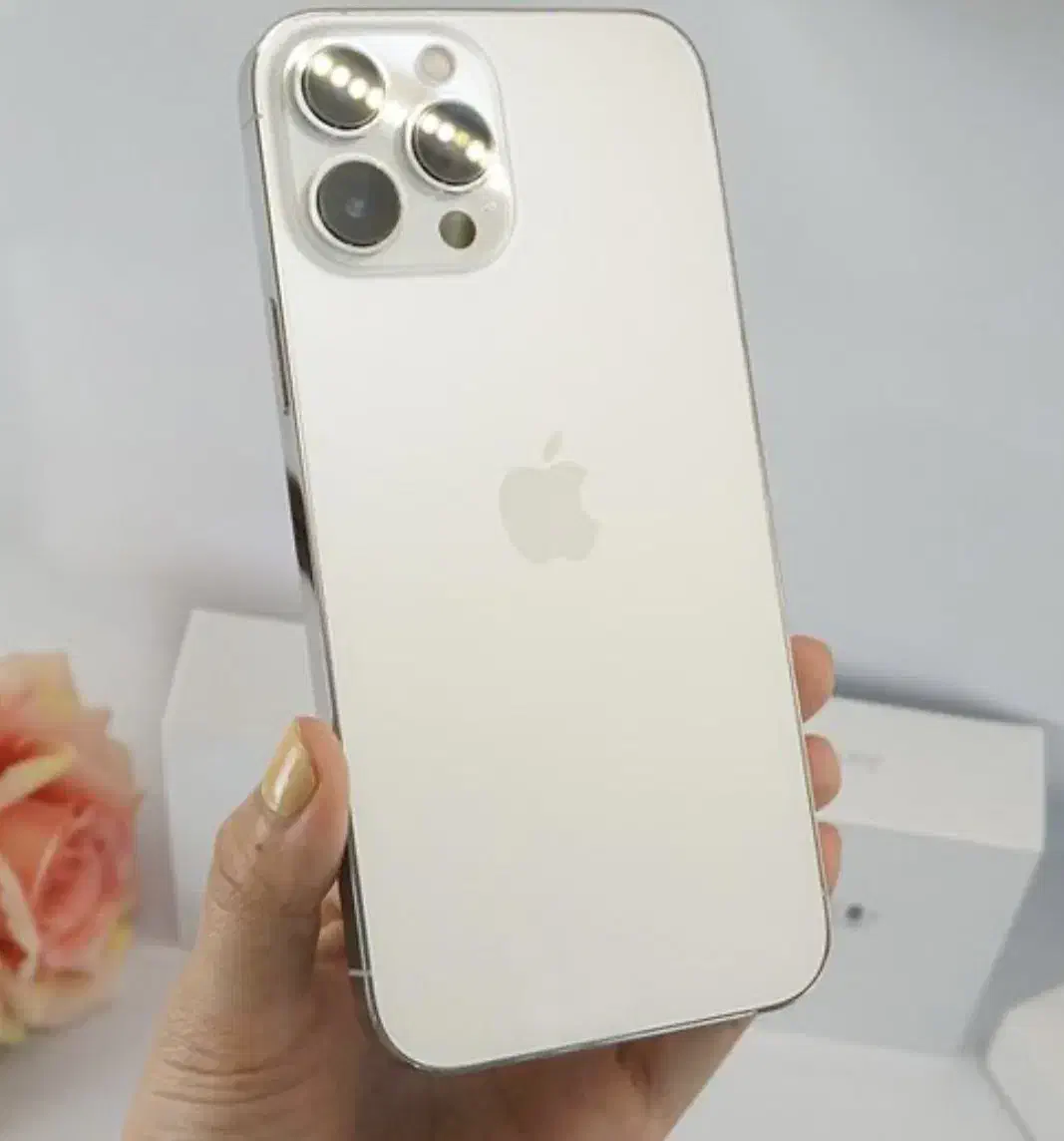 Iphone 13 pro max -512gig -gold|موبایل|تهران, تهرانسر غربی|دیوار