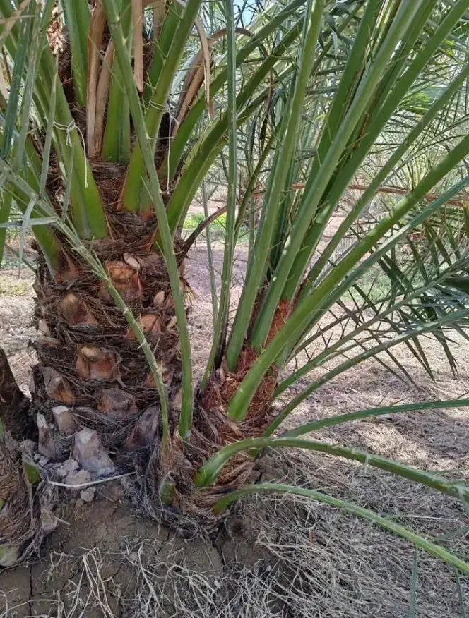 حاجی آباد|موبایل|حاجی آباد, |دیوار