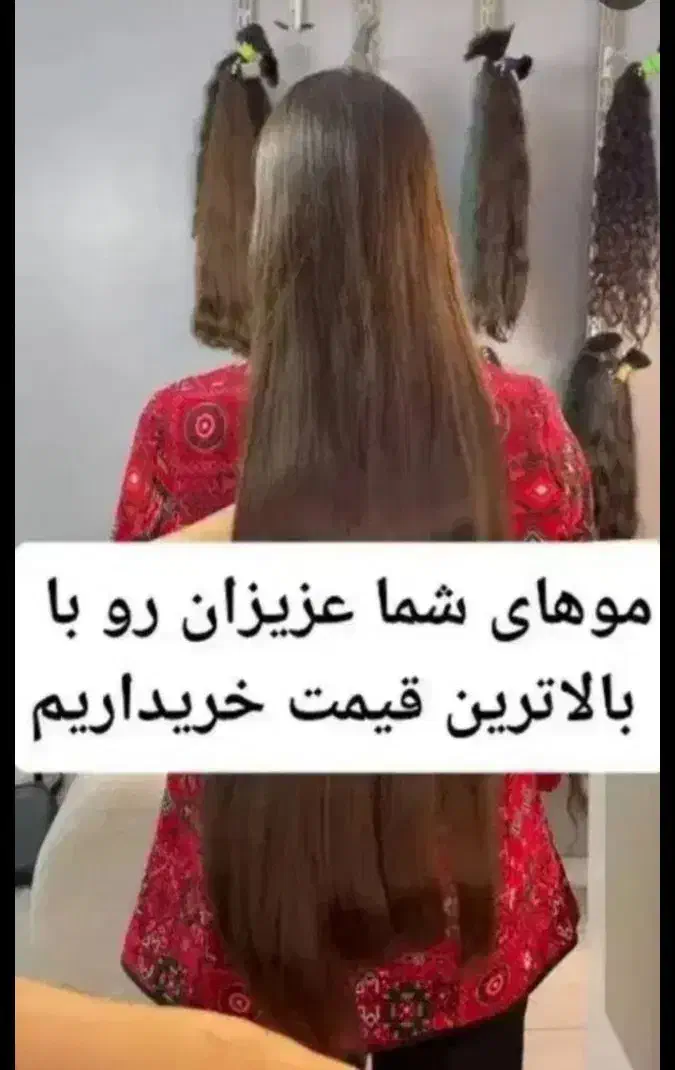 کوتاهی موهای بانوان در سالن نرگس موهای خام رنگی|آرایشگاه و سالن‌های زیبایی|رامهرمز, |دیوار