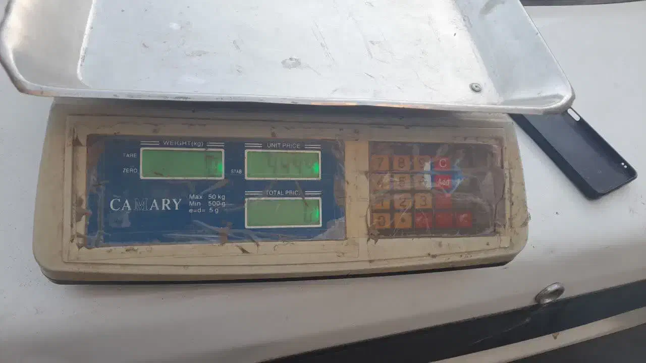 ترازو دیجیتال ۵۰کیلویی|فروشگاه و مغازه|سبزوار, شهرک صنعتی خاوران|دیوار