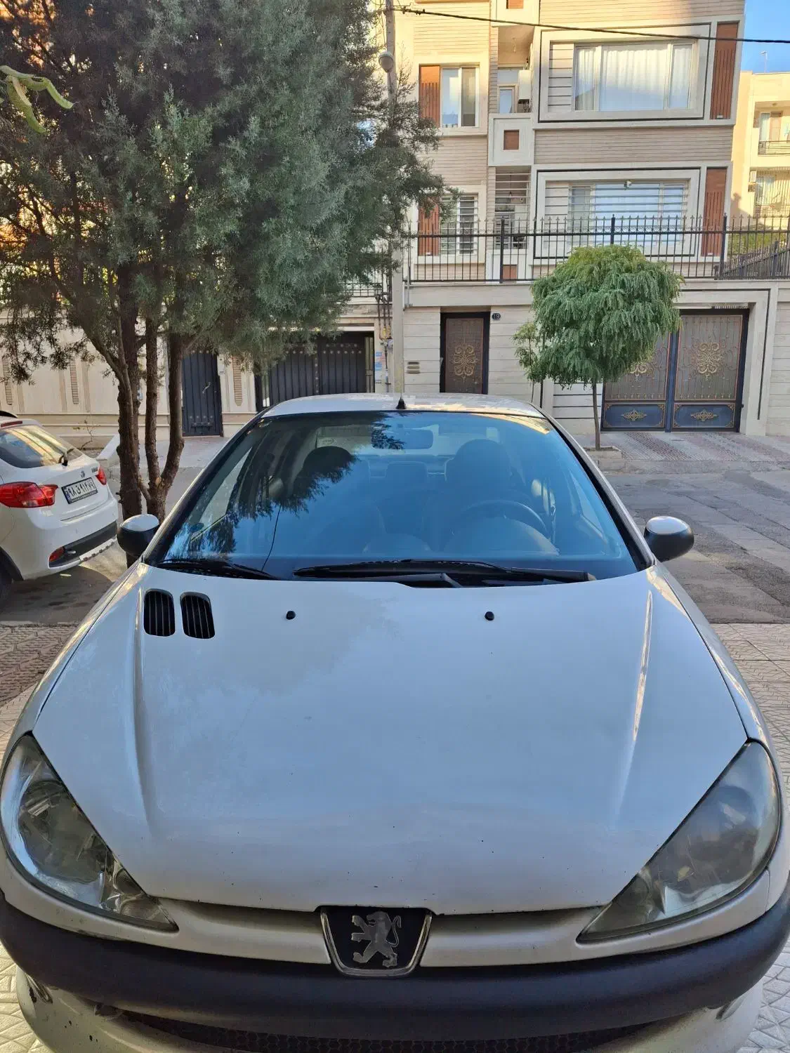 پژو 206v8فول بیرنگ تک برک سند|خودرو سواری و وانت|قزوین, |دیوار