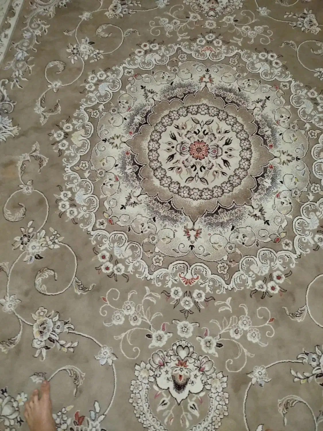 قالی12 متری|فرش|پاکدشت, پاکدشت (مامازند)|دیوار