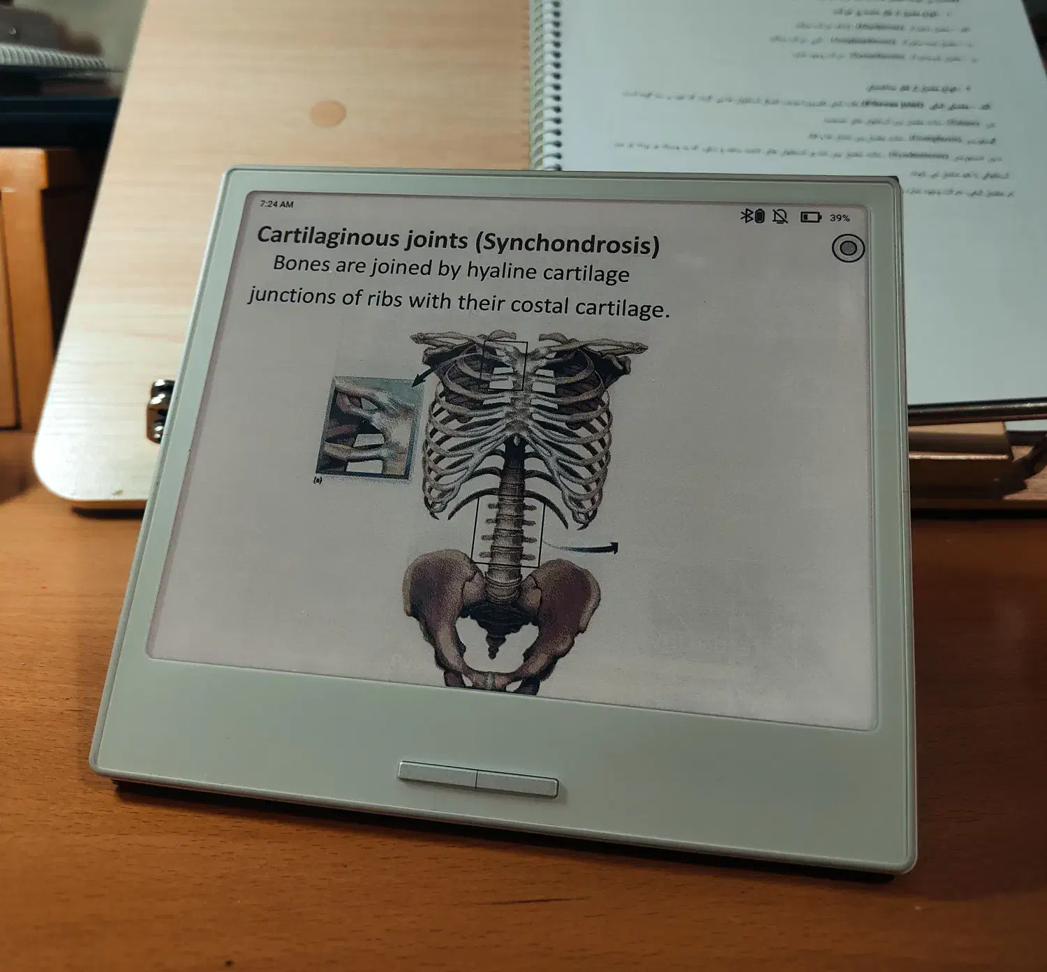 کتابخوان Go color 7|تبلت|شیراز, قصرالدشت|دیوار