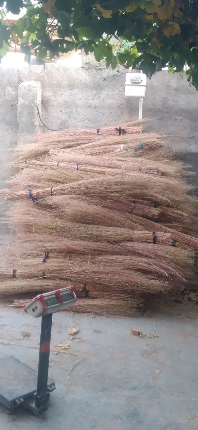 جاروی شهرداری|لوازم نظافت|یاسوج, |دیوار