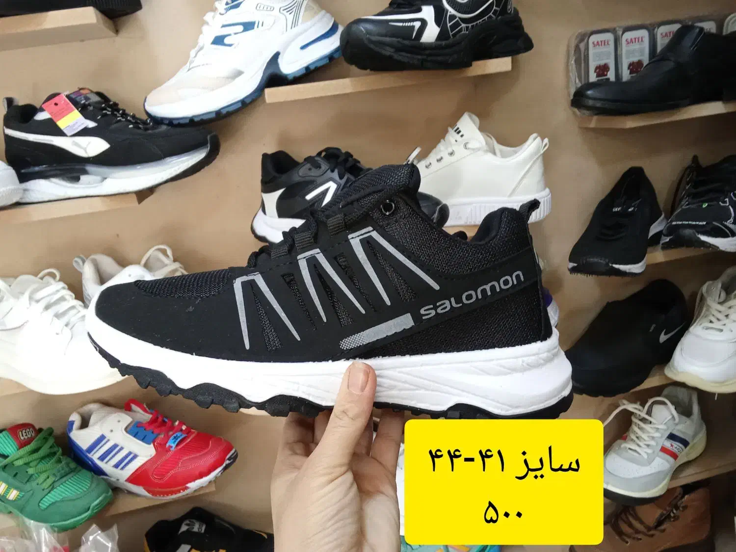 سالامون|کیف، کفش، کمربند|ایلام, |دیوار