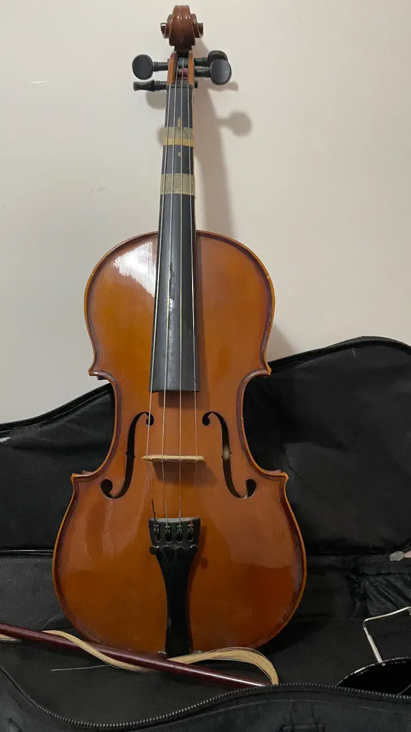 ویولون|ویولن|سهند, |دیوار