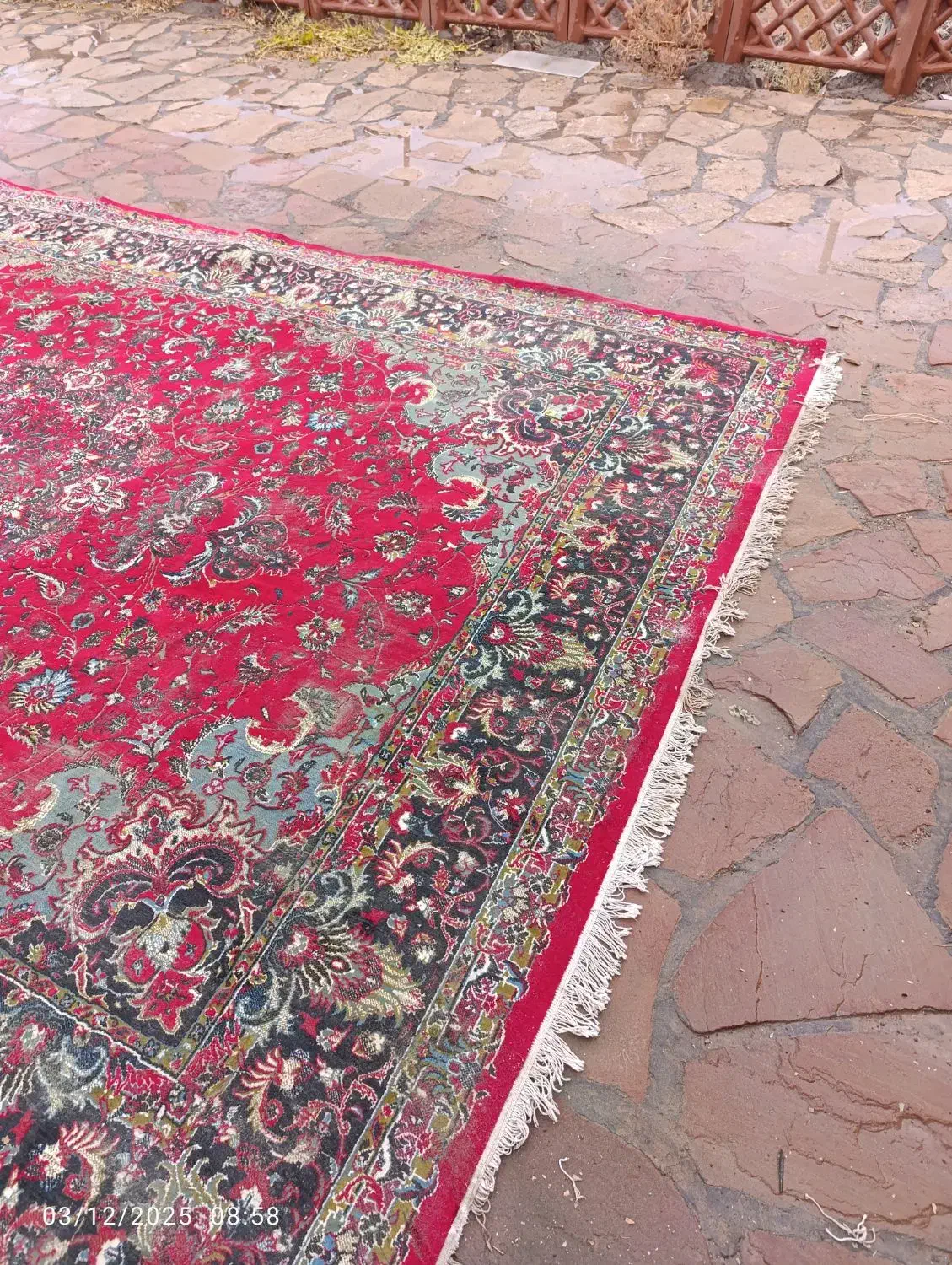 فرش مناسب خونه باغ|فرش|سبزوار, غرب نیروگاه|دیوار