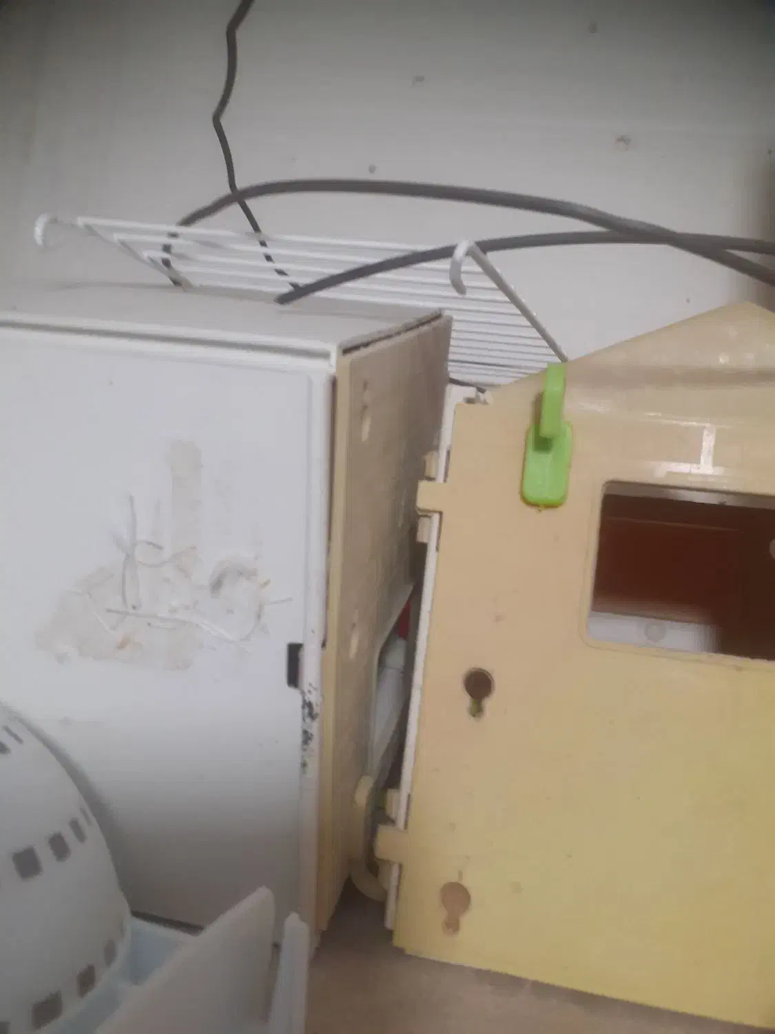 انواع لانه|پرنده|شیراز, شریفآباد|دیوار