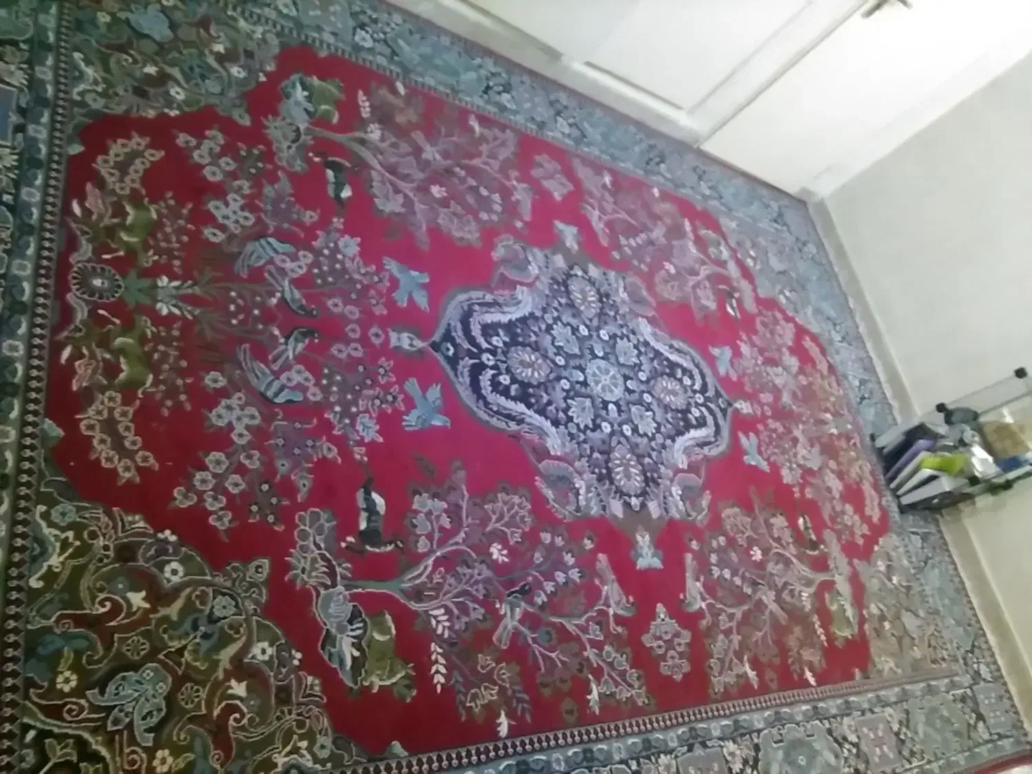 فرش 12متری|فرش|سمنان, |دیوار