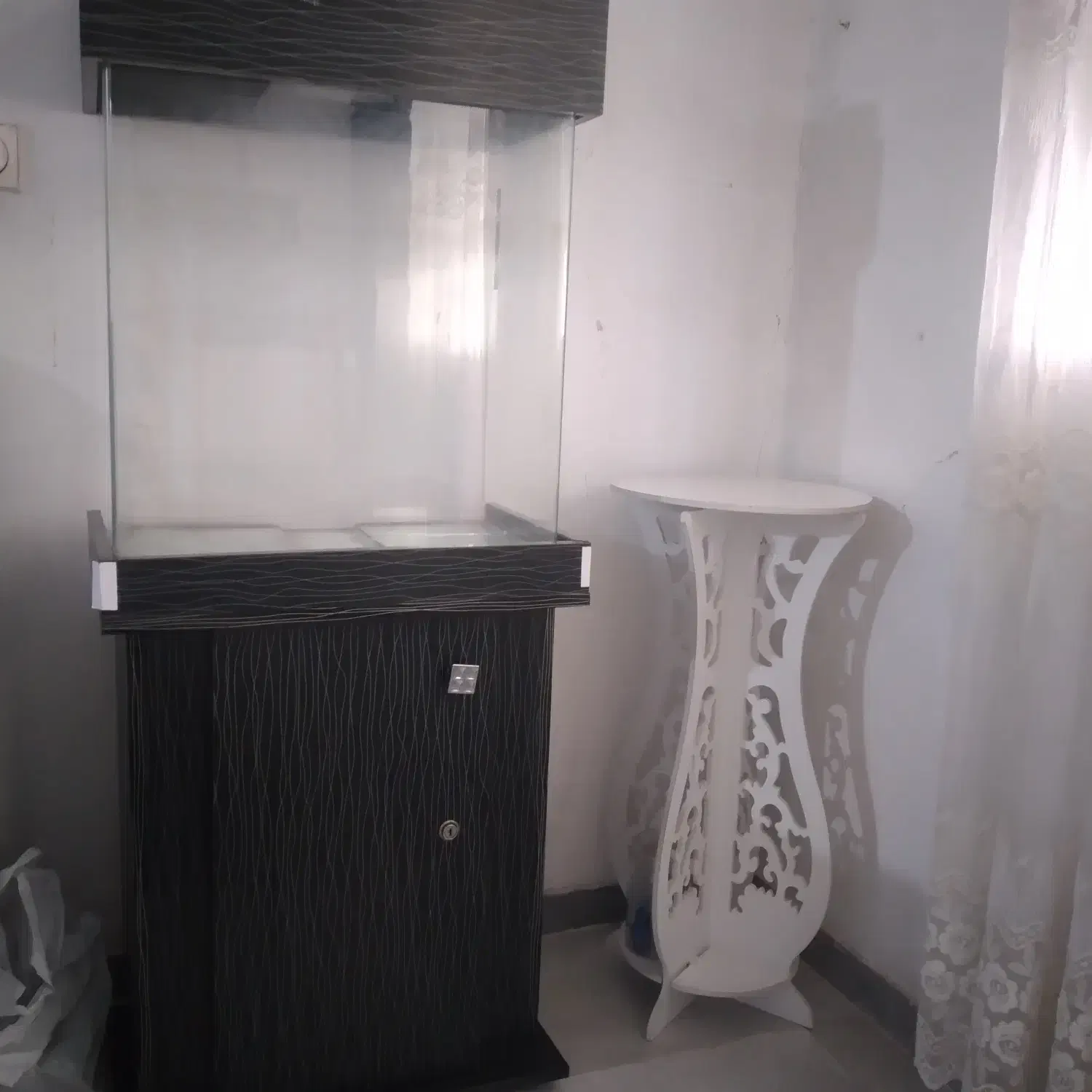 آکواریوم|ماهی|محمدشهر, سیدآباد|دیوار