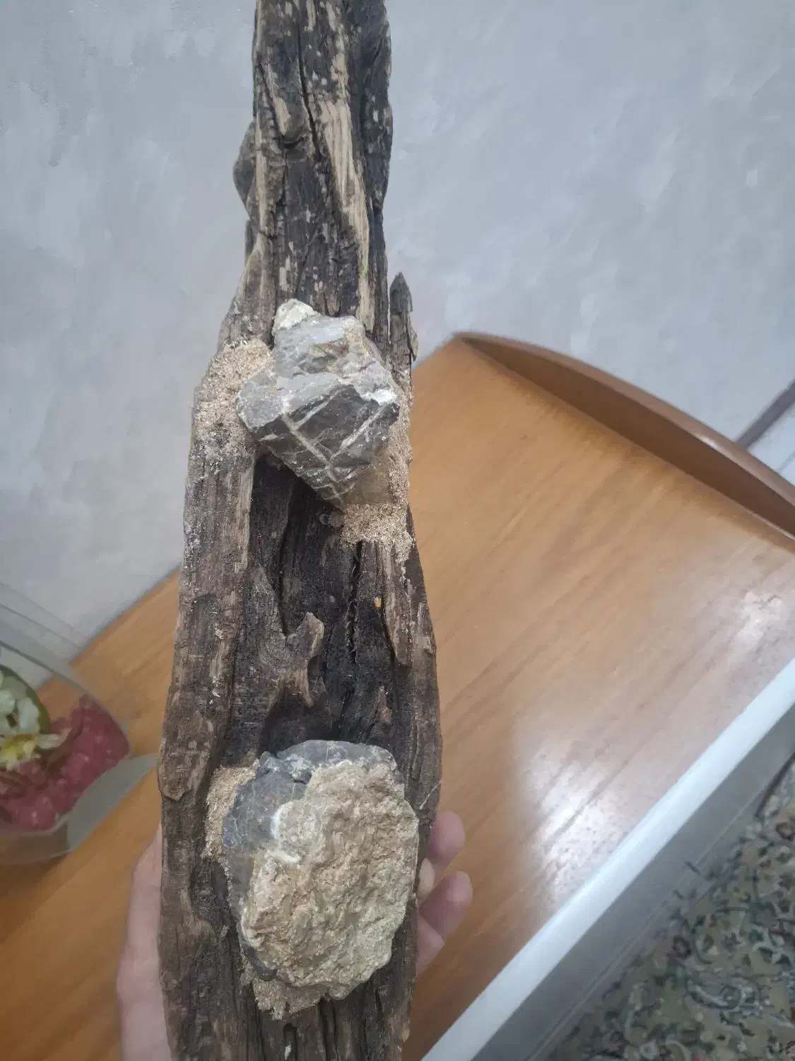 آبنوس بلک واتر|ماهی|تهران, منیریه|دیوار