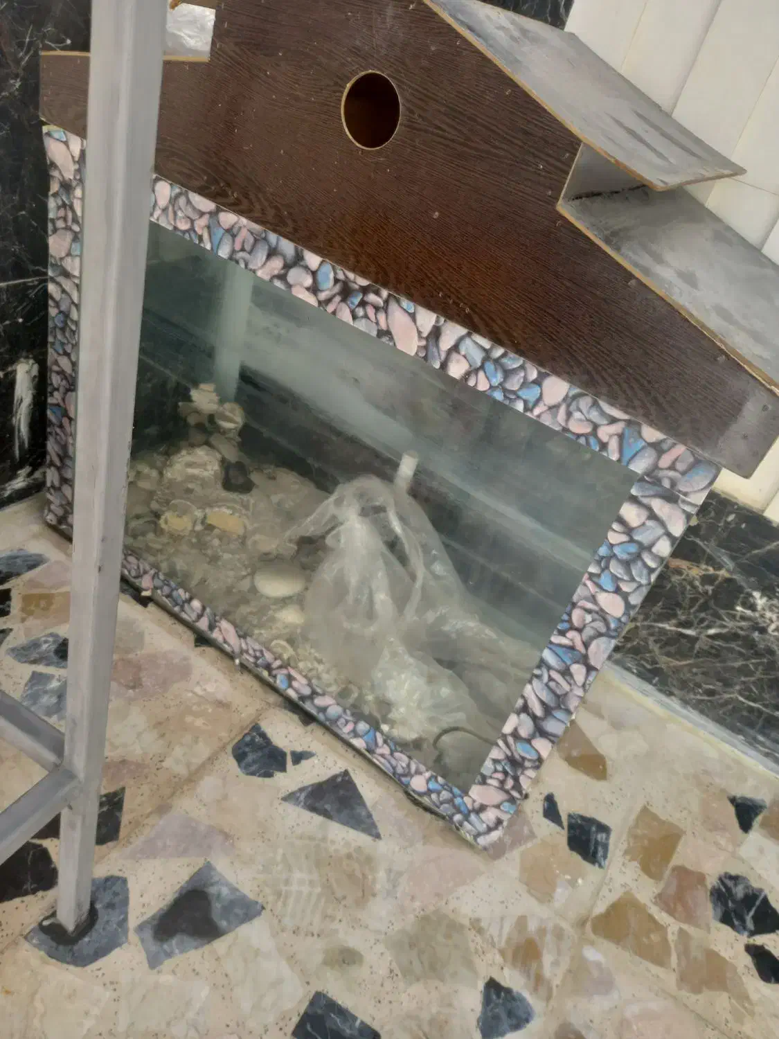 آکواریوم|ماهی|شاهین‌شهر, گرگاب|دیوار