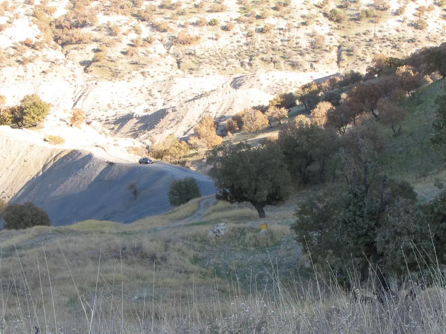 گمشده|جواهرات|صالح آباد (ایلام), |دیوار